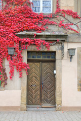 Front door of the house is overgrown with red grape leaves.