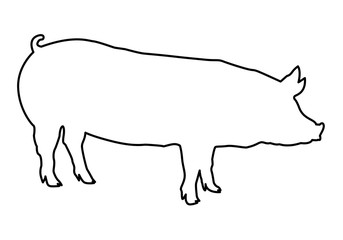 Sign pig. Isolated black silhouette pig on white background. Vector illustration - Vector