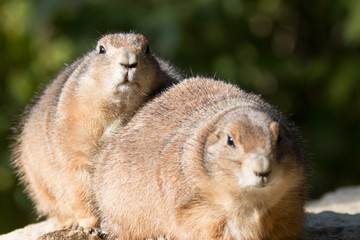 no no it's not what it looks like... we are just cuddling!