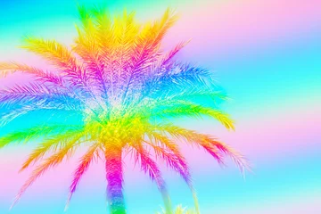 Fotobehang Palmboom Luchtige palmboom op hemelachtergrond afgezwakt in regenboog neonkleuren. Surrealistische funky stijl. Ruimte voor tekst kopiëren. Tropisch strandvakantie reislust. Sjabloon voor kaartposter flyer feestuitnodiging