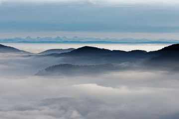 Brouillard sur les sommets des Vosges