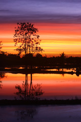 Naklejka premium sunset