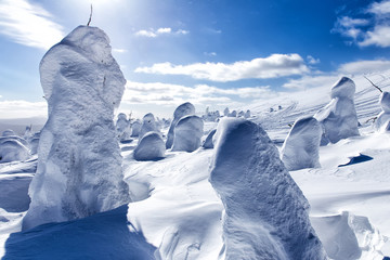 Beautiful winter wonderland during the sunny day. Winter landscape