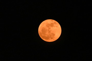 Obraz premium The red moon