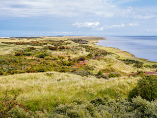 Fototapeta na wymiar Panorama of dunes and Waddensea coast of nature reserve Het Oerd on West Frisian island Ameland, Friesland, Netherlands