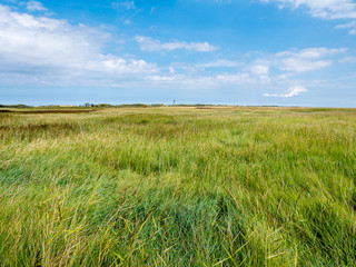 Salt marshes and wooden beacon in nature reserve Het Oerd on West Frisian island Ameland, Netherlands