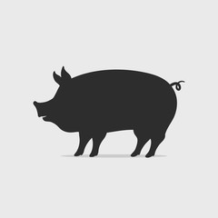 Pig silhouette vector illustration. Chinese year of the pig concept