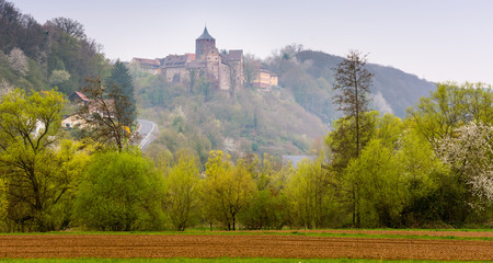 Fototapeta na wymiar alte Burg