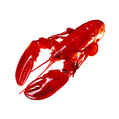  lobster isolated on white