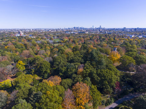 Mount Auburn Cemetery and Boston skyline in fall, Watertown, Greater Boston Area, Massachusetts, USA.