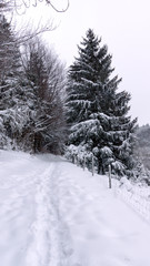 Naklejka premium Waldweg ist zu geschneit