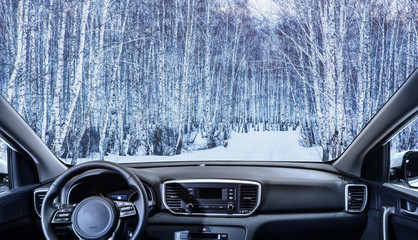 winter landscape of the interior car