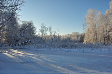 Winter forest in the Noth of Russia