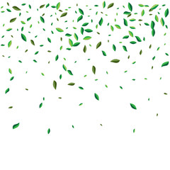 Green flying or falling off leaves. Vector abstract foliage background