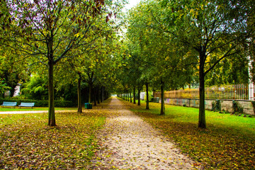 autumn in the park Niguarda centro