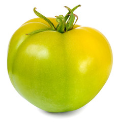 one tomato green isolated