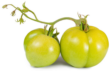 two green tomatoes isolated