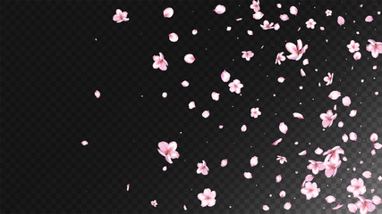 Nice Sakura Blossom Isolated Vector. Feminine Showering 3d Petals Wedding Texture. Japanese Bokeh Flowers Illustration. Valentine, Mother's Day Summer Nice Sakura Blossom Isolated on Black