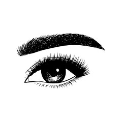 Woman eyes with long eyelashes. Hand drawn vector illustration. Eyelashes and eyebrows. Сoncept of eyelash extensions, microblading, mascara, beauty salon. Black eyes. Beauty and Fashion.
