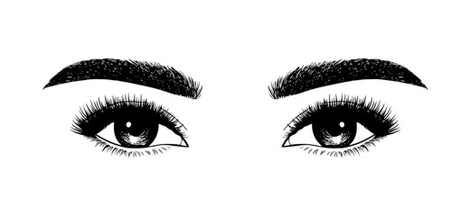 Woman eyes with long eyelashes. Hand drawn vector illustration. Eyelashes and eyebrows. Сoncept of eyelash extensions, microblading, mascara, beauty salon. Black eyes. Beauty and Fashion.