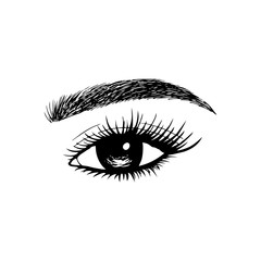 Woman eyes with long eyelashes. Hand drawn vector illustration. Eyelashes and eyebrows. Сoncept of eyelash extensions, microblading, mascara, beauty salon. Black eyes. Beauty and Fashion.