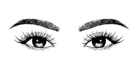 Fototapeta premium Woman eyes with long eyelashes. Hand drawn vector illustration. Eyelashes and eyebrows. Сoncept of eyelash extensions, microblading, mascara, beauty salon. Black eyes. Beauty and Fashion.