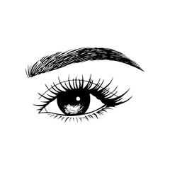 Woman eyes with long eyelashes. Hand drawn vector illustration. Eyelashes and eyebrows. Сoncept of eyelash extensions, microblading, mascara, beauty salon. Black eyes. Beauty and Fashion.