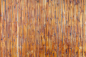 Bamboo background