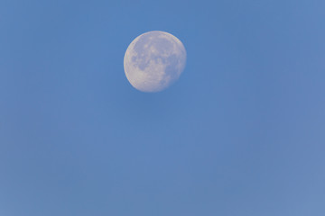 Big waning moon at morning