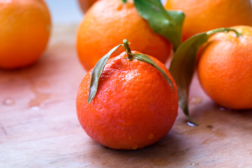 Tangerines - oranges, mandarins, clementines, citrus fruits with leaves
