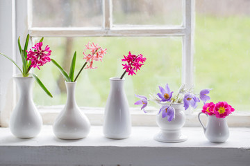 spring flowers on windowsill