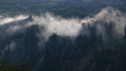 Montagne e nebbia