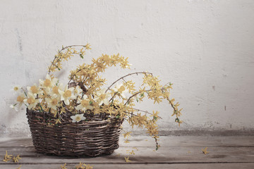 yellow spring flowers in basket on background old wall