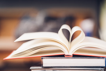 Love to reading a book concept.