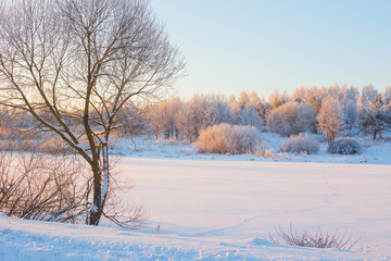 winter morning with snow and frost