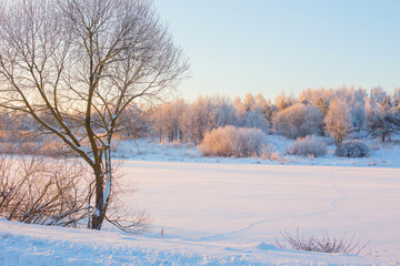 Naklejka premium winter morning with snow and frost