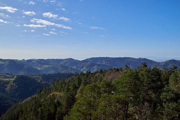 Fototapeta na wymiar schwarzwald panorama
