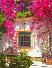 Nice patio with flowers in Cordoba, Spain
