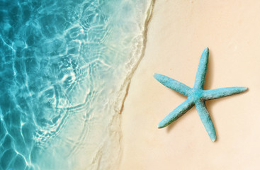 Fototapeta na wymiar Starfish on the sand beach and ocean as background. Summer beach.
