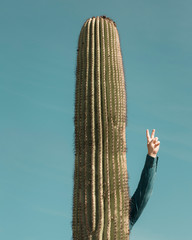 A man stands behind a cactus with his hand in the air giving a peace sign