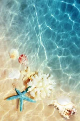 Foto auf Alu-Dibond Seashell on the summer beach in sea water. Summer background. Summer time. © Belight