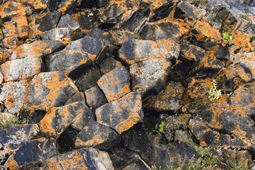 Textured basalt background hexagonal stone pillars in a section. natural volcanic formations