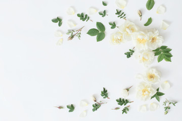 roses on white background