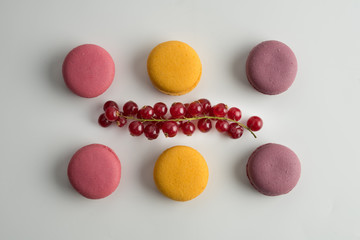 Cake macaron or macaroon on white background from above, colorful almond cookies with currant branch, top view.