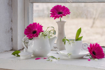 pink and white flowers on windowsill