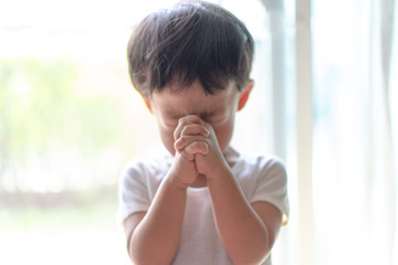A little prayer, A boy is praying seriously and hopefully to Jesus.