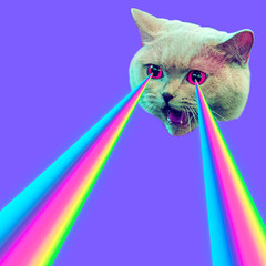  Evil Cat with rainbow lasers from eyes. Minimal collage fashion concept - obrazy, fototapety, plakaty