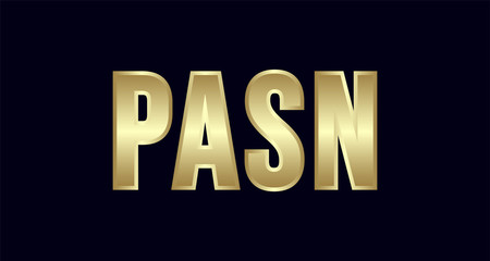 PASn City Typography vector design. Greetings for T-shirt, poster, and more