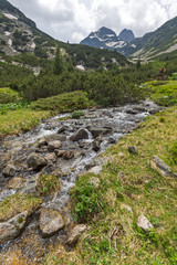 Obraz premium Summer landscape of Malyovitsa peak and Malyoviska river, Rila Mountain, Bulgaria