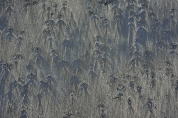 ghost figures in the sand